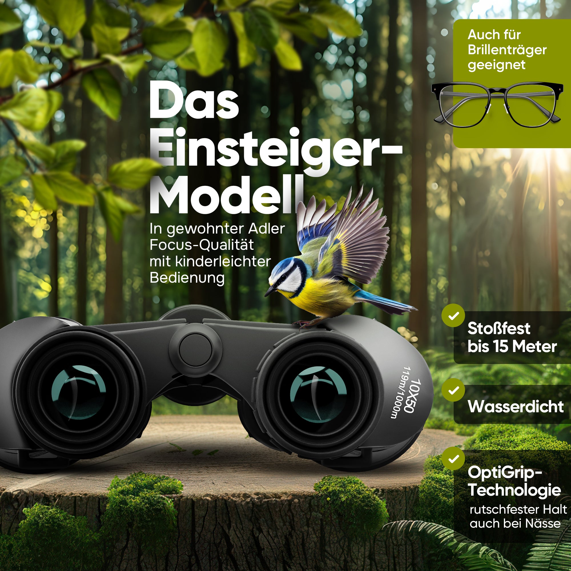 Fernglas Einsteiger 10x50