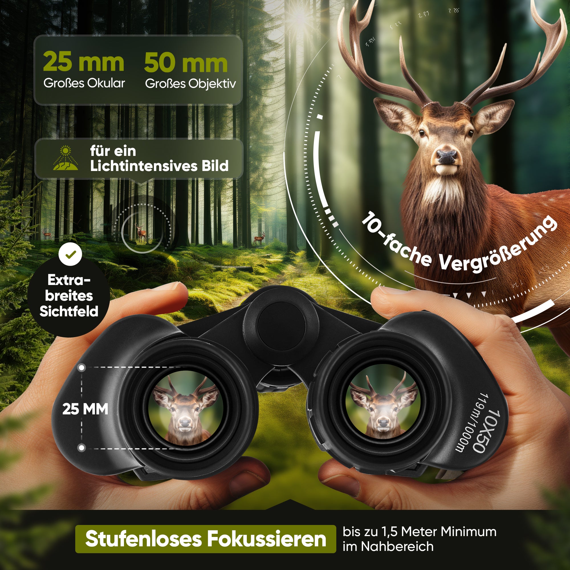 Fernglas Einsteiger 10x50