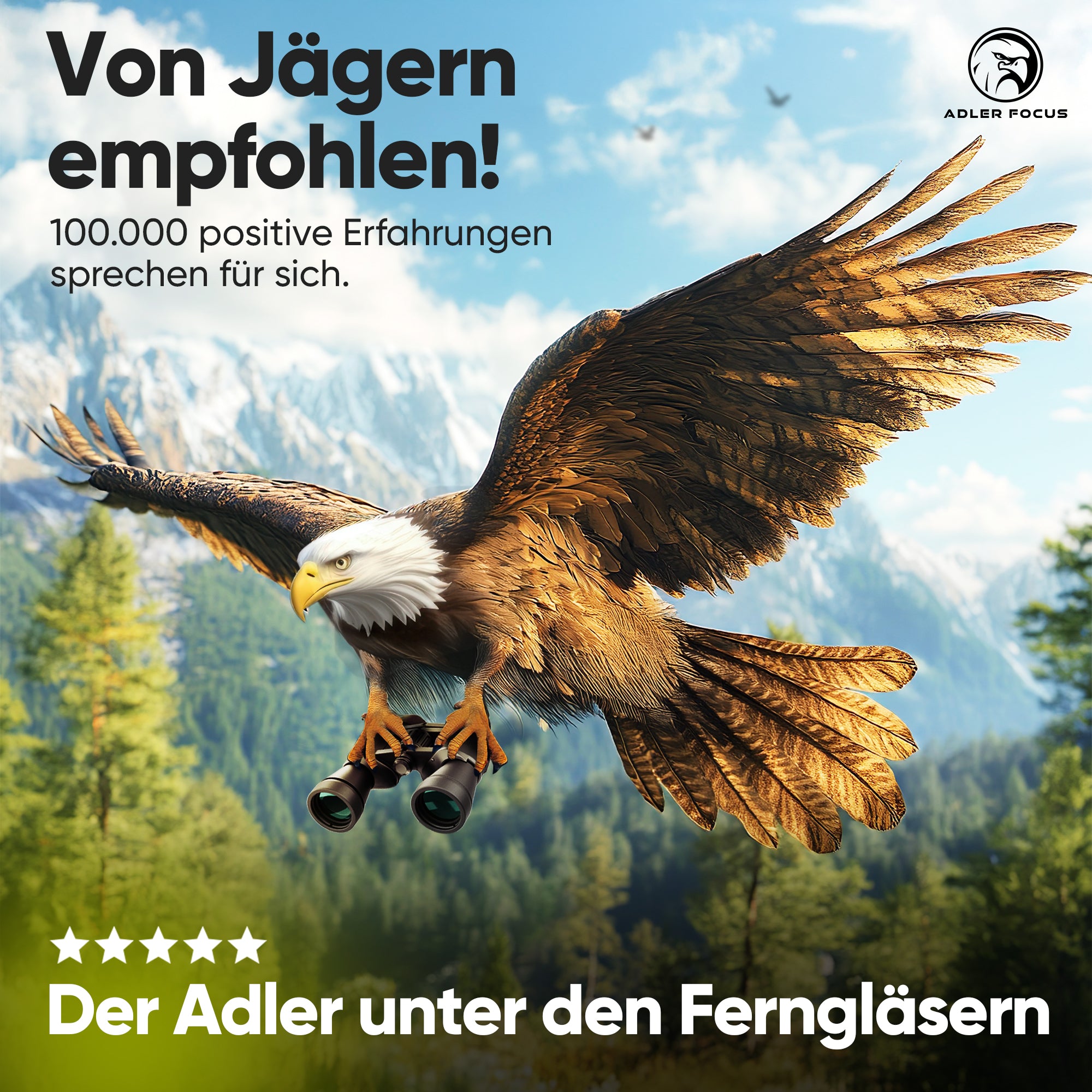 Fernglas Einsteiger 10x50