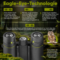 Fernglas Eagle Eye 10x25/42/50