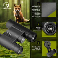 Fernglas Eagle Eye 10x25/42/50