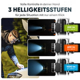 Kopflampen